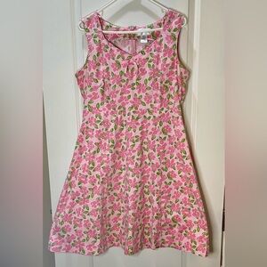 Vintage Chadwick’s Pink Floral Sleeveless Cotton A-line Dress Size 16